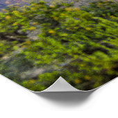 Grand Canyon Poster (Hoek)
