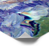 Grand Canyon Poster (Hoek)