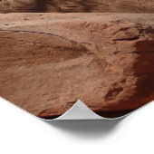 Grand Canyon Shrub Poster (Hoek)