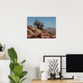 Grand Canyon Shrub Poster (Thuiskantoor)