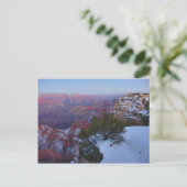 Grand Canyon Snow Postcard Briefkaart (Staand voorkant)