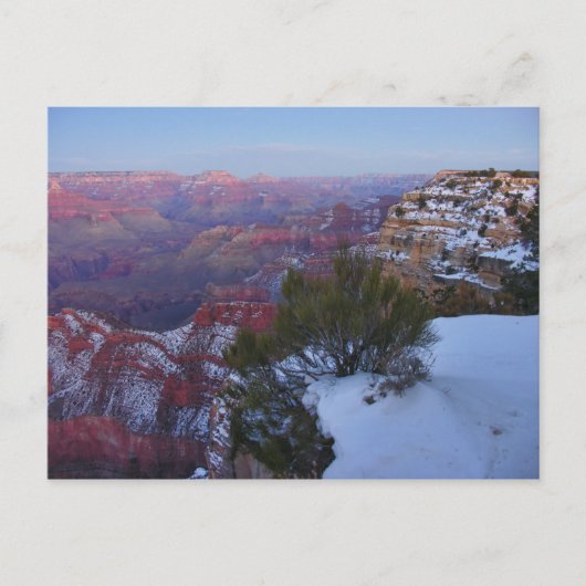 Grand Canyon Snow Postcard Briefkaart (Voorkant)