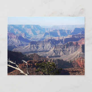 Grand Canyon - South Rim Briefkaart