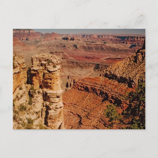 Grand Canyon, South Rim Briefkaart (Voorkant)