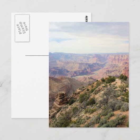 Grand Canyon - South Rim Briefkaart (Voorkant / Achterkant)