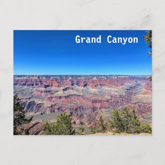 Grand Canyon South Rim  Briefkaart (Voorkant)
