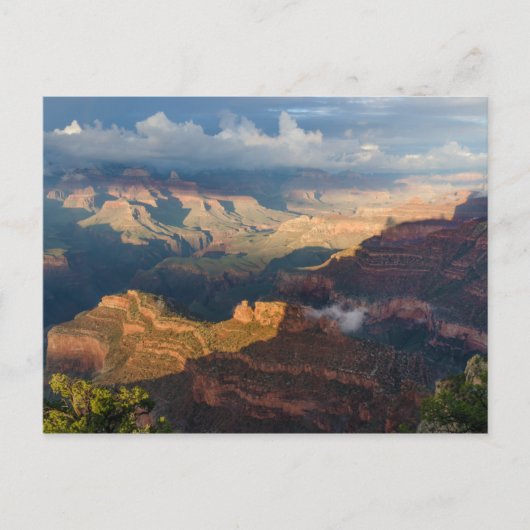 Grand Canyon South Rim van Powell Point Briefkaart (Voorkant)