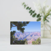 Grand Canyon - Uitzicht door de stekels - Briefkaa Briefkaart (Staand voorkant)