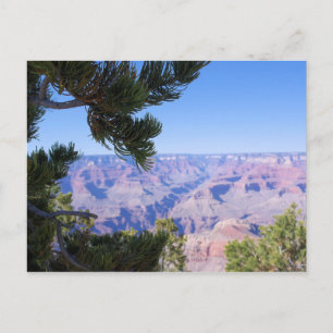 Grand Canyon - Uitzicht door de stekels - Briefkaa Briefkaart