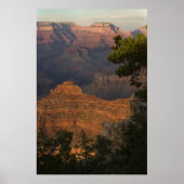 Grand Canyon Uitzicht Poster (Voorkant)