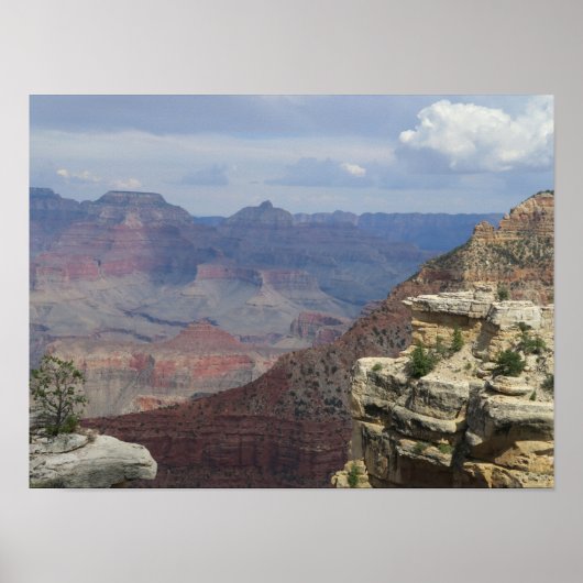 Grand Canyon USA Poster (Voorkant)