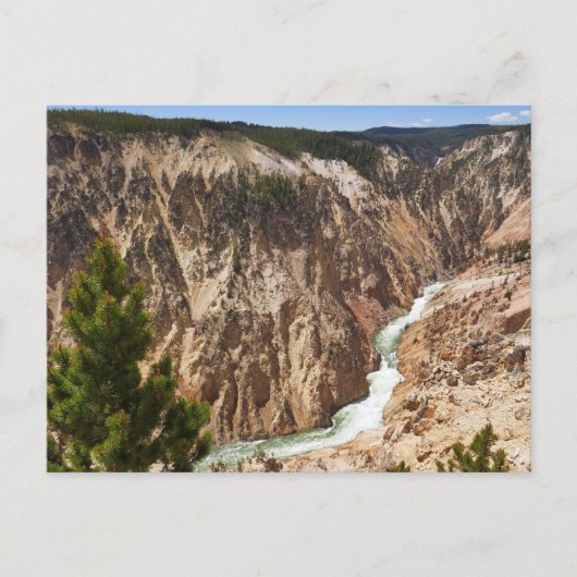 Grand Canyon van de Yellowstone Briefkaart (Voorkant)