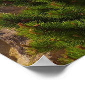 Grand Canyon van de Yellowstone Poster (Hoek)