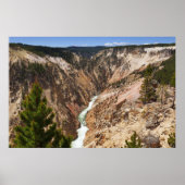 Grand Canyon van de Yellowstone Poster (Voorkant)