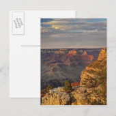 Grand Canyon van de zuidrand bij zonsondergang, 2 Briefkaart (Voorkant / Achterkant)