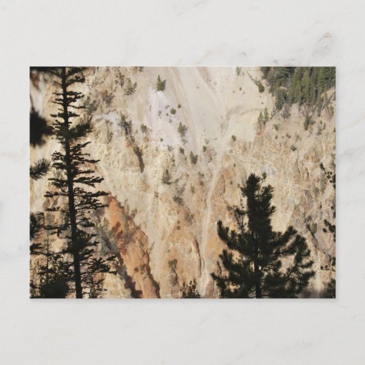 Grand Canyon van Yellowstone Briefkaart (Voorkant)