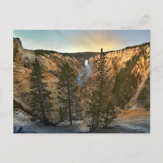Grand Canyon van Yellowstone Briefkaart (Voorkant)