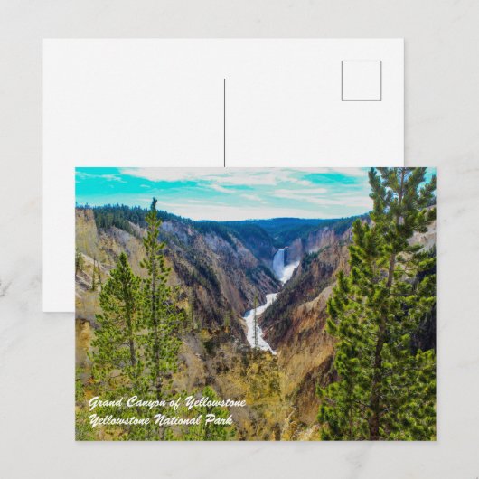 Grand Canyon van Yellowstone Briefkaart (Voorkant / Achterkant)