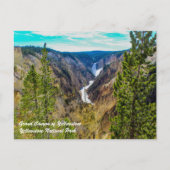 Grand Canyon van Yellowstone Briefkaart (Voorkant)