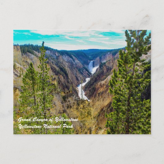 Grand Canyon van Yellowstone Briefkaart (Voorkant)