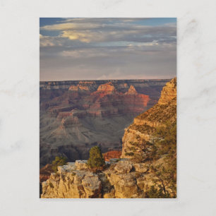 Grand Canyon vanaf de zuidelijke rand bij zonsonde Briefkaart