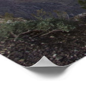 Grand Canyon Vista 14 Poster (Hoek)