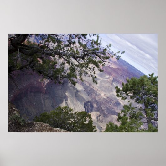Grand Canyon Vista 14 Poster (Voorkant)