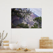 Grand Canyon Vista 14 Poster (Keuken)