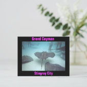 Grand Cayman briefkaart (Staand voorkant)