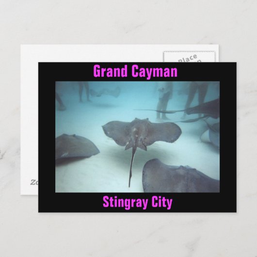 Grand Cayman briefkaart (Voorkant / Achterkant)