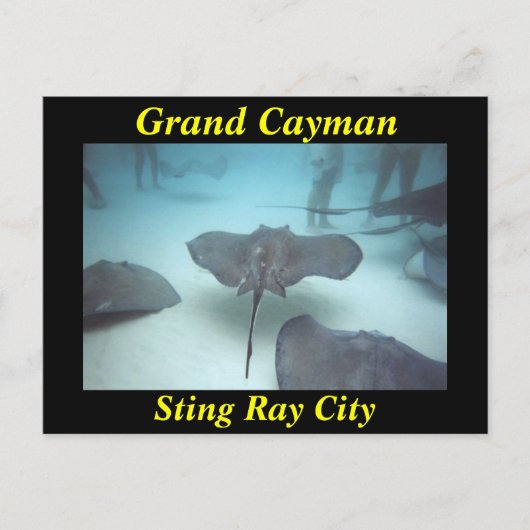 Grand Cayman die het briefkaart van de strandstral (Voorkant)