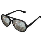 Grand Cayman Iguana Aviator Zonnebril (Gekanteld)