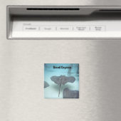 Grand Cayman Island magneet (Insitu (Vaatwasser))