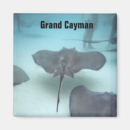 Grand Cayman Island magneet (Voorkant)