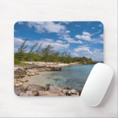 Grand Cayman Island Muismat (Met muis)