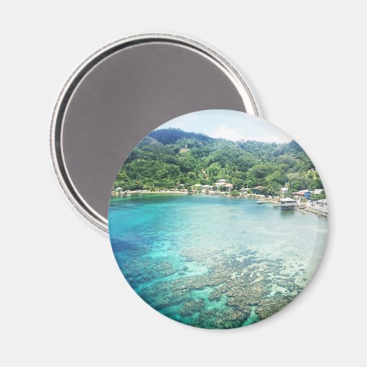 Grand Cayman koraalrif Magneet (Voorkant / Achterkant)