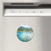 Grand Cayman koraalrif Magneet (Insitu (Vaatwasser))