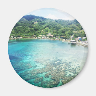 Grand Cayman koraalrif Magneet