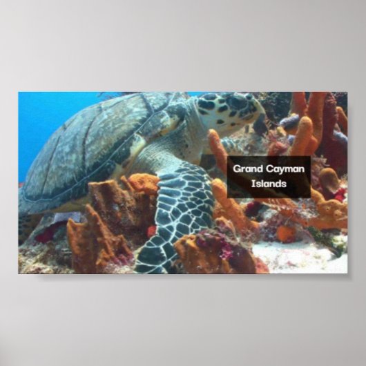 Grand Cayman poster (Voorkant)