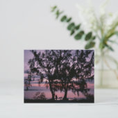 Grand Cayman Sunrise Briefkaarten (Staand voorkant)