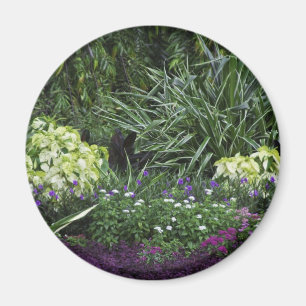 Grand Caymaneilanden Magneet