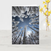 Grand Cypress Kaart (Gele Bloem)