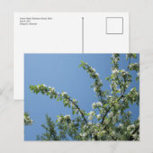 Grand Hotel, Mackinac Island, Mich. Briefkaart (Voorkant / Achterkant)