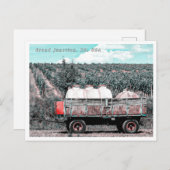 GRAND JUNCTION COLORADO BRIEFKAART (Voorkant / Achterkant)