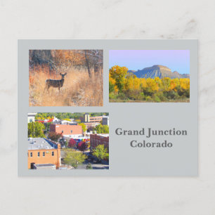 Grand Junction, Colorado Sjabloon Travel Briefkaar Briefkaart