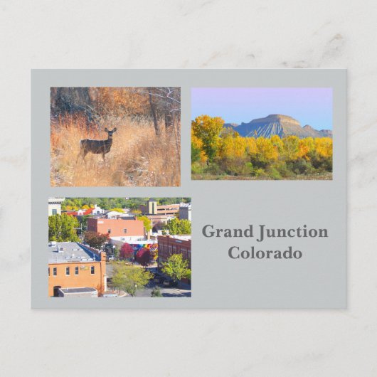 Grand Junction, Colorado Sjabloon Travel Briefkaar Briefkaart (Voorkant)