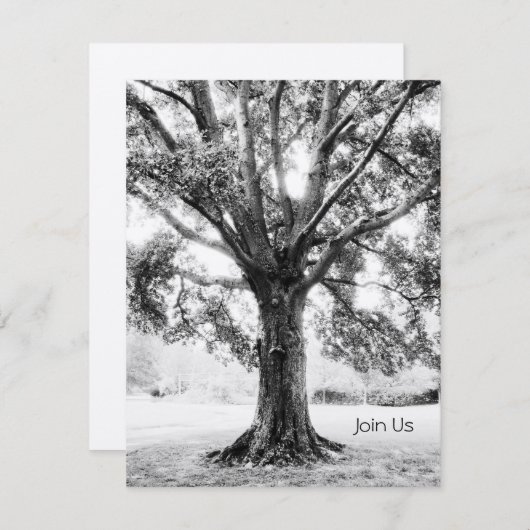 Grand Kaart (Voorkant / Achterkant)