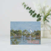 Grand Lake Oklahoma postkaart Egret (Staand voorkant)