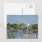 Grand Lake Oklahoma postkaart Egret (Voorkant / Achterkant)