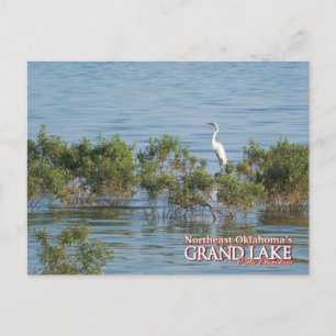 Grand Lake Oklahoma postkaart Egret